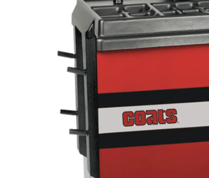 Coats 1300 Direct Drive Wheel Balancer